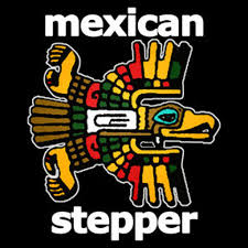 Festival 4:20, Xochimilco mexican-stepper Cepanca Canali Collective México 2020